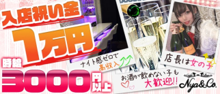 Cafe&Bar Nya&Co.(にゃんこ)【公式求人・体入情報】(小岩ガールズバー)の求人・体験入店情報
