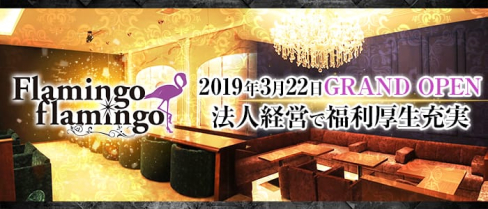 flamingo flamingo(フラミンゴ フラミンゴ)【公式求人情報】(中洲キャバクラ)の求人・バイト・体験入店情報