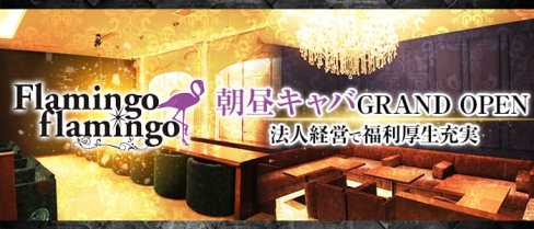 flamingo flamingo(フラミンゴ フラミンゴ)【公式求人情報】(中洲昼キャバ・朝キャバ)の求人・バイト・体験入店情報