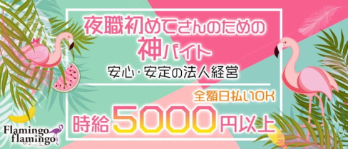 flamingo flamingo(フラミンゴ フラミンゴ)【公式出稼ぎ求人情報】(中洲キャバクラ)の求人・バイト・体験入店情報