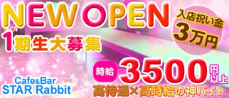 Cafe&Bar STAR Rabbit(スターラビット)【公式求人情報】