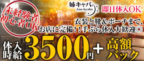 姉キャバ☆東京駅前店【公式求人情報】(東京姉キャバ・半熟キャバ)の求人・バイト・体験入店情報