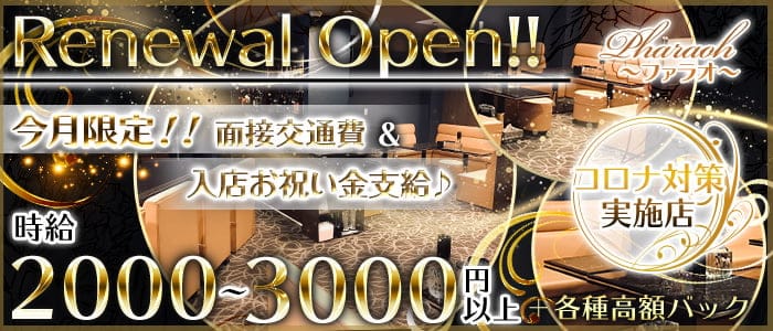 ファラオのラウンジ体入