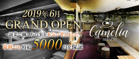 Camelia Bianco(カメリアビアンコ)【公式求人情報】(神田キャバクラ)の求人・バイト・体験入店情報