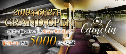 Camelia Bianco(カメリアビアンコ)【公式求人情報】(神田キャバクラ)の求人・バイト・体験入店情報