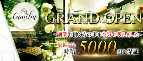Camelia Bianco(カメリアビアンコ)【公式求人情報】(神田キャバクラ)の求人・体験入店情報
