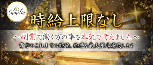 Camelia Bianco(カメリアビアンコ)【公式求人情報】(神田キャバクラ)の求人・バイト・体験入店情報