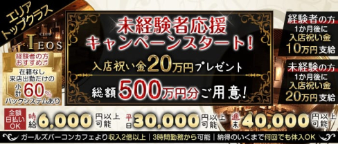 club TEOS(クラブテオス)【公式求人・体入情報】(千葉キャバクラ)の求人・体験入店情報