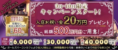 club TEOS(クラブテオス)【公式求人・体入情報】(千葉キャバクラ)の求人・体験入店情報