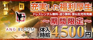 AngBloom(アンジュブルーム)【公式求人・体入情報】(岡崎キャバクラ)の求人・体験入店情報