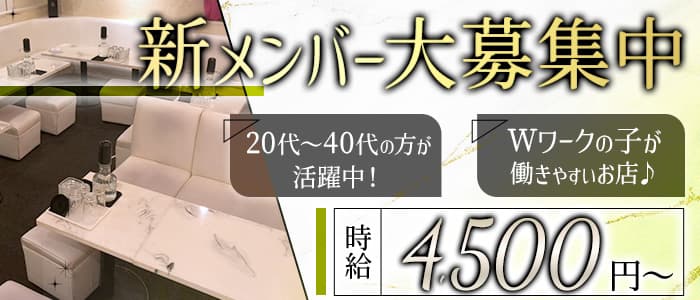 Abeille（アベーユ）のラウンジ体入