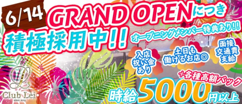 Club Lei(レイ) 【公式求人情報】(錦糸町キャバクラ)の求人・バイト・体験入店情報