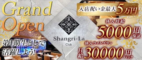 Shangri-La~シャングリ・ラ~【公式求人情報】(平塚キャバクラ)の求人・体験入店情報