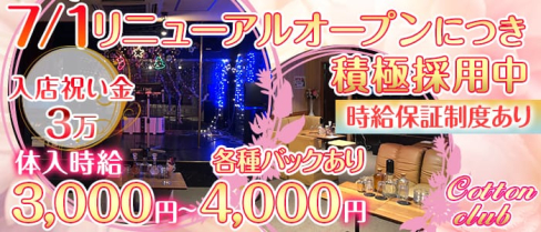 コットンクラブ藤沢店【公式求人情報】(藤沢パブクラブ)の求人・バイト・体験入店情報