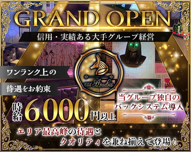 Club Anubis アヌビス 公式求人 体入情報 関内 キャバクラ 公式求人 キャバクラ求人なら 体入ショコラ