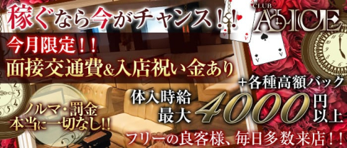 Club ALICE(アリス)【公式求人情報】(浜松キャバクラ)の求人・バイト・体験入店情報