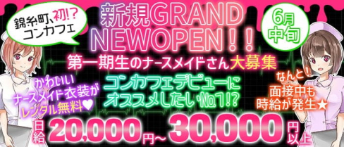 コンセプトCafe&Bar Twinkle(ティンクル)【公式求人・体入情報】(錦糸町ガールズバー)の求人・体験入店情報