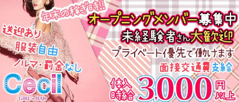 Girls Bar CECIL(セシル)【公式求人情報】(錦糸町ガールズバー)の求人・バイト・体験入店情報