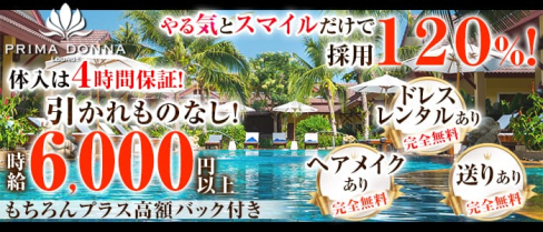 PRIMADONNA 千葉店(プリマドンナ)【公式求人情報】(千葉キャバクラ)の求人・バイト・体験入店情報