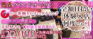 club Leon(レオン) 【公式求人・体入情報】(秋葉原キャバクラ)の求人・体験入店情報