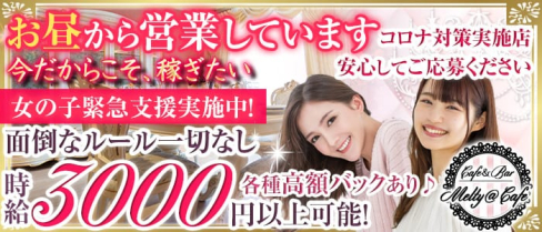 コンセプトCafe&Bar Melty@Cafe(メルティーカフェ)【公式出稼ぎ求人情報】(上野ガールズバー)の求人・バイト・体験入店情報