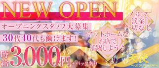 パブ 天使~エンジェル~【公式求人・体入情報】(草加パブクラブ)の求人・体験入店情報