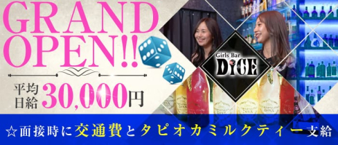 Girls Bar DICE(ダイス)【公式求人情報】(新橋ガールズバー)の求人・バイト・体験入店情報