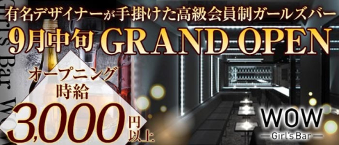 Girl's Bar WOW(ワオ)【公式求人情報】(錦糸町ガールズバー)の求人・バイト・体験入店情報