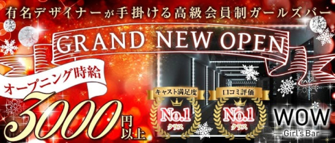 Girl's Bar WOW(ワオ)【公式求人情報】(錦糸町ガールズバー)の求人・体験入店情報