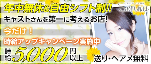 serina(セリナ)【公式求人情報】(吉祥寺キャバクラ)の求人・バイト・体験入店情報