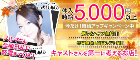 serina(セリナ)【公式求人情報】(吉祥寺キャバクラ)の求人・バイト・体験入店情報