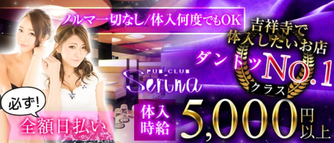 serina(セリナ)【公式求人情報】(吉祥寺キャバクラ)の求人・バイト・体験入店情報