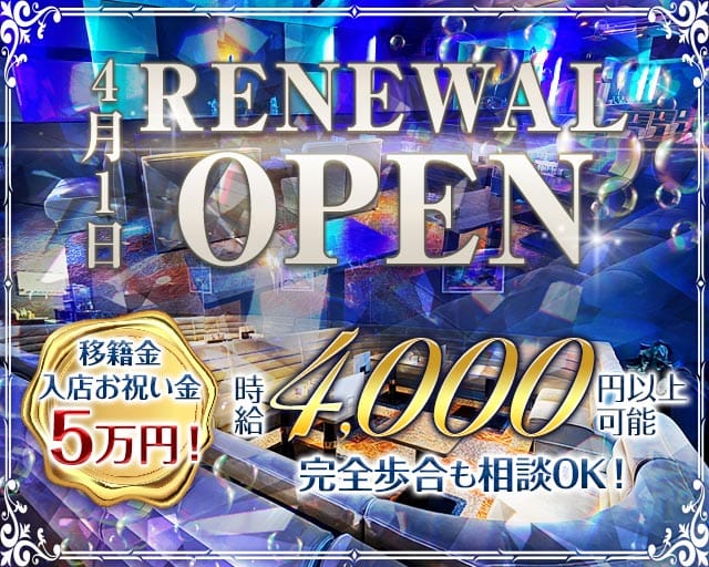 Blue Dolphin（ブルードルフィン）のキャバクラ体入