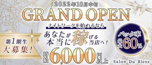Salon Du Bless(サロンドブレス)【公式求人・体入情報】(北新地ラウンジ)の求人・体験入店情報