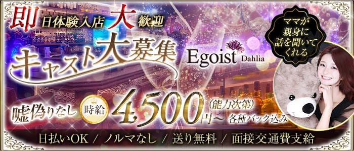 Egoist Dahlia（エゴイストダリア） 錦糸町姉キャバ・半熟キャバ 即日体入募集バナー