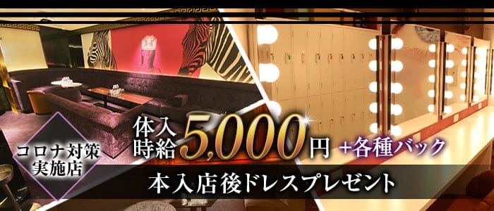CLUB MARQUEE（マーキー）【公式求人・体入情報】 中洲キャバクラ バナー