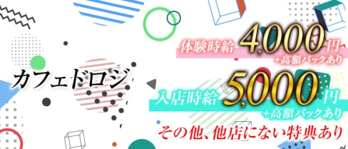 Café de Roji (カフェ ド ロジ) 【公式求人情報】(祇園キャバクラ)の求人・体験入店情報
