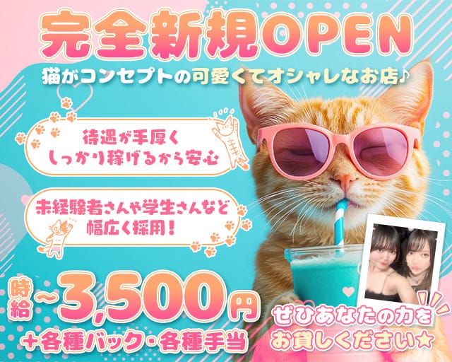 Oh! ニャン子倶楽部のガールズバー体入
