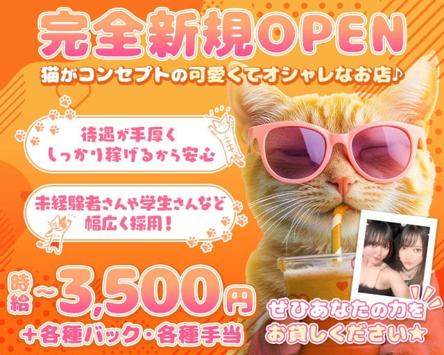 Oh! ニャン子倶楽部のガールズバー体入