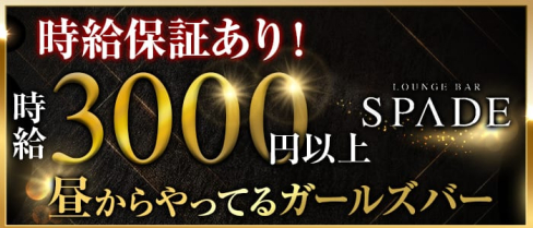 Bar SPEAD(スペード)【公式求人情報】(北新地ガールズバー)の求人・体験入店情報