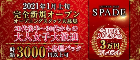 Bar SPADE(スペード)【公式求人・体入情報】(北新地ガールズバー)の求人・体験入店情報