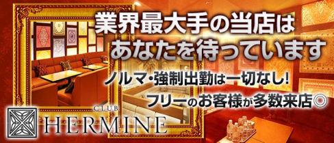 HERMINE 新横浜~エルミネ~【公式求人情報】(新横浜キャバクラ)の求人・体験入店情報