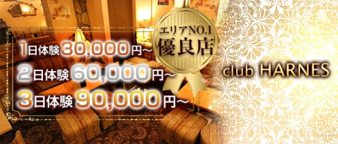 club HARNES(ハーネス)【公式求人情報】(藤沢キャバクラ)の求人・体験入店情報