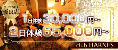 club HARNES(ハーネス)【公式求人情報】(藤沢キャバクラ)の求人・バイト・体験入店情報