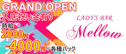 LADY'S BAR Mellow(メロウ)【公式求人情報】(中洲スナック)の求人・体験入店情報