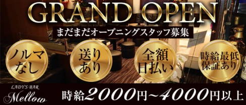 LADY'S BAR Mellow(メロウ)【公式求人情報】(中洲スナック)の求人・体験入店情報