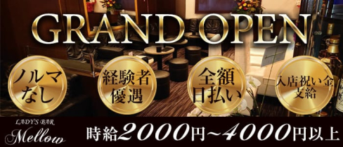 LADY'S BAR Mellow(メロウ)【公式求人情報】(中洲ガールズバー)の求人・体験入店情報