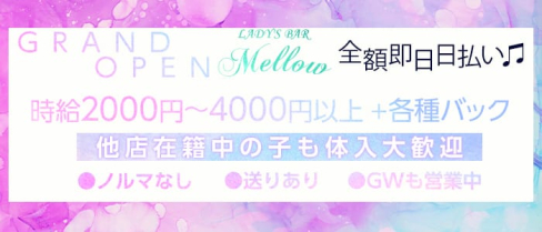 LADY'S BAR Mellow(メロウ)【公式求人情報】(中洲スナック)の求人・体験入店情報