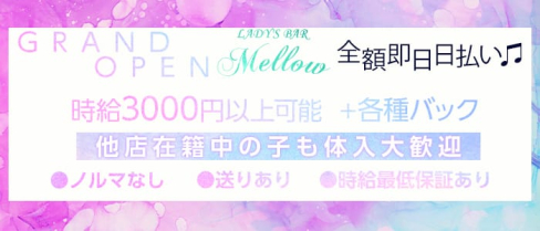 LADY'S BAR Mellow(メロウ)【公式求人情報】(中洲スナック)の求人・体験入店情報