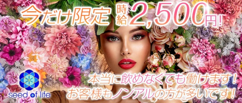 【金町】Girls bar seed of life (シードオブライフ)【公式求人情報】(金町ガールズバー)の求人・体験入店情報